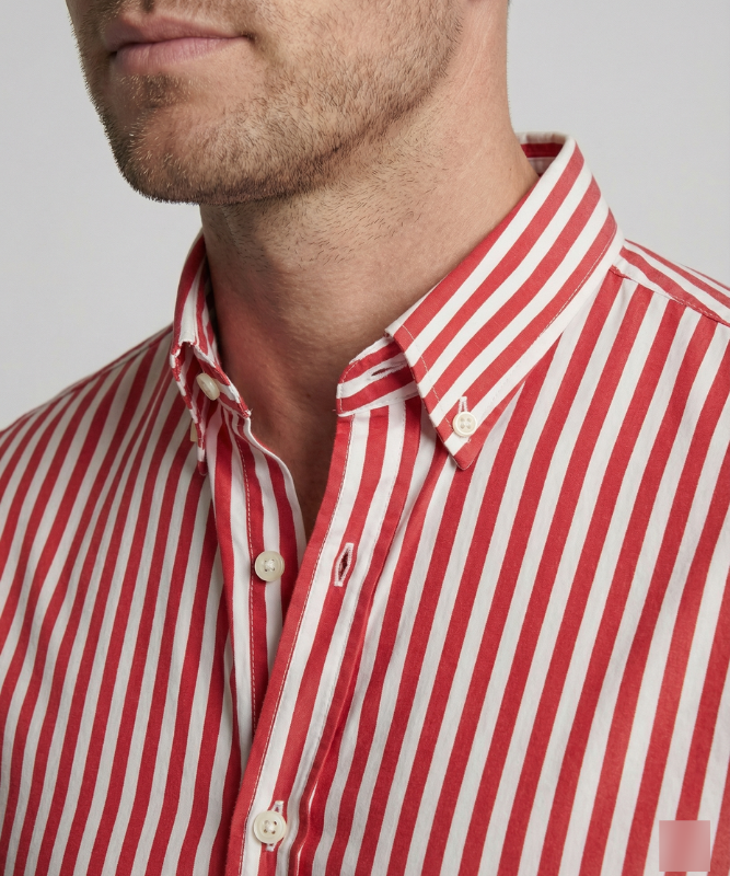 Aldric | Men's Striped Button-Down Shirt